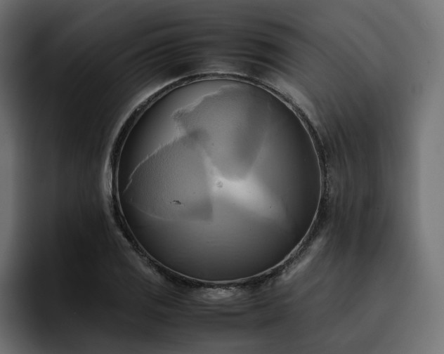 X0000095121125200712141130