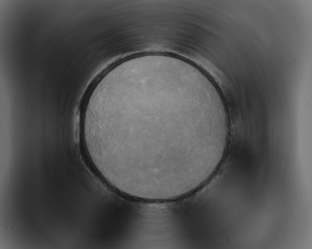 X0000095121126200712141130