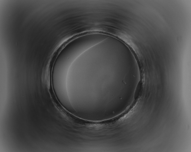 X0000095121127200712141130