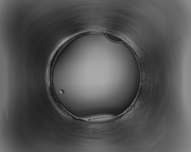 X0000095121128200712141130