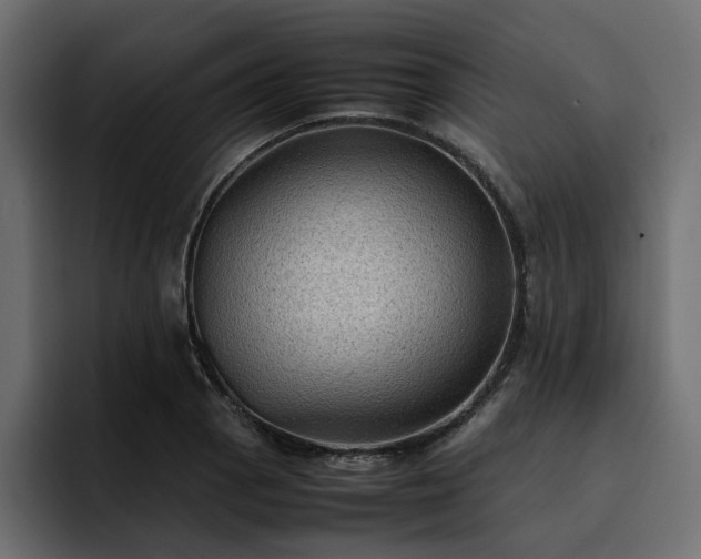 X0000095121129200712141130