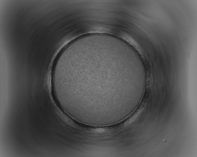 X0000095121130200712141130