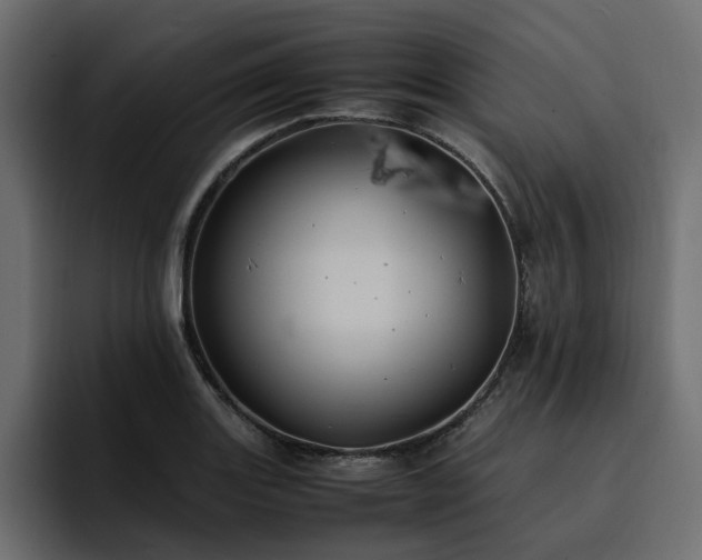 X0000095121131200712141130