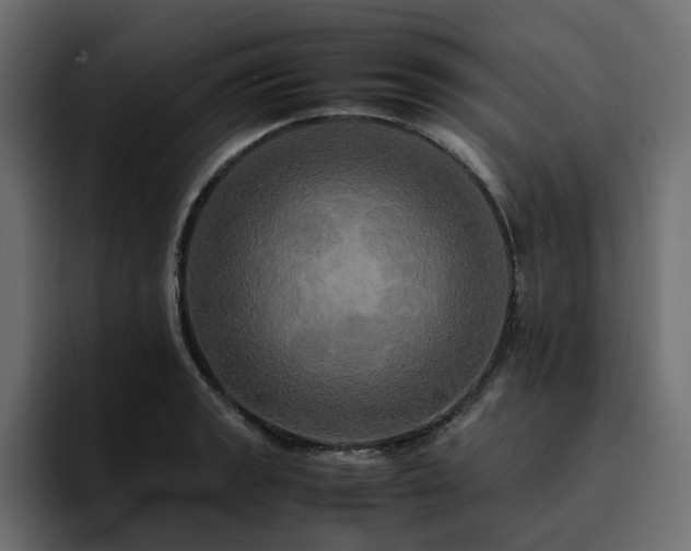 X0000095121133200712141130