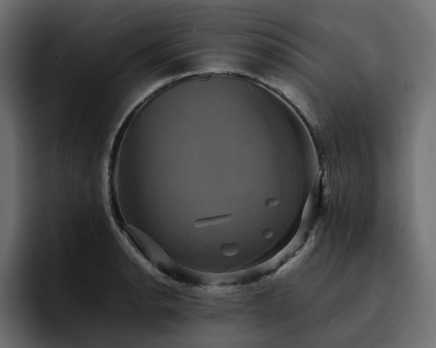 X0000095121134200712141130