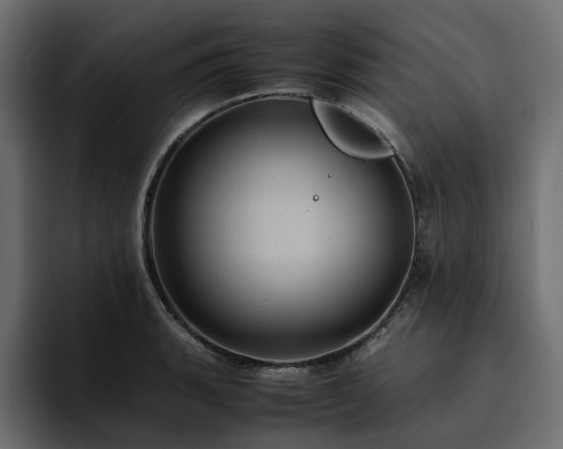 X0000095121135200712141130