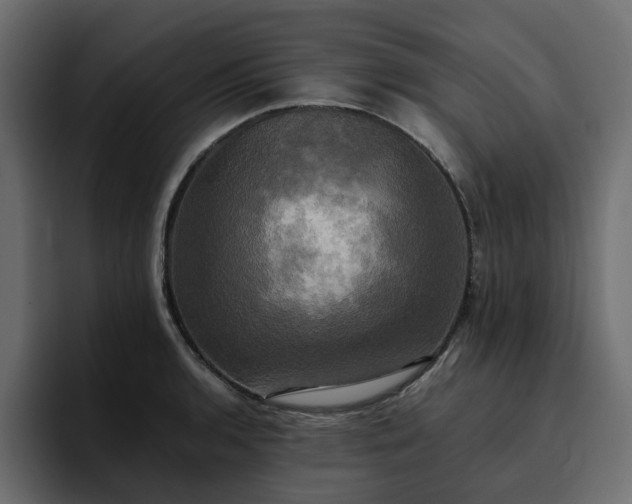 X0000095121136200712141130