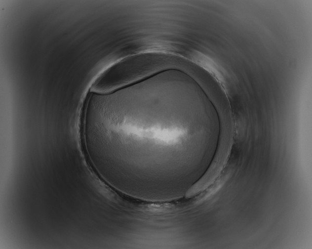 X0000095121138200712141130