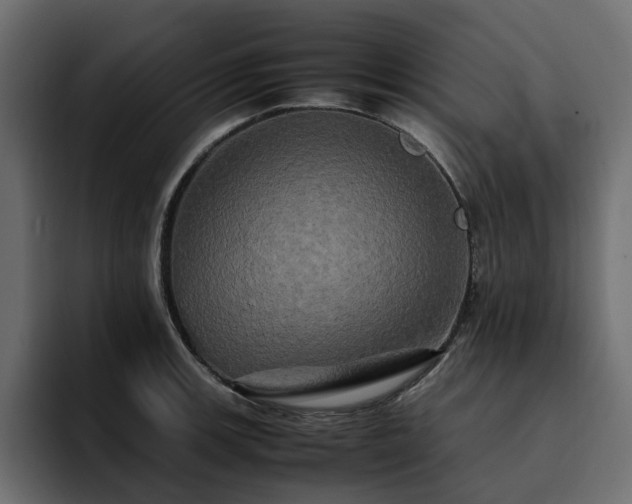 X0000095121139200712141131