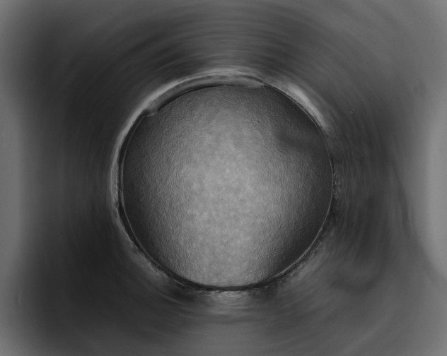 X0000095121140200712141131