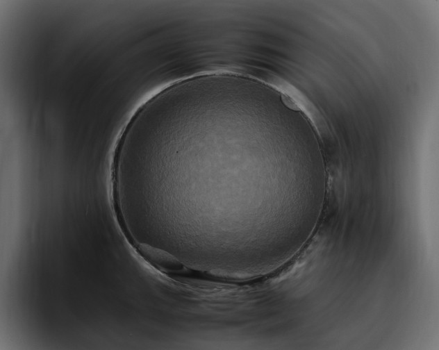 X0000095121143200712141131