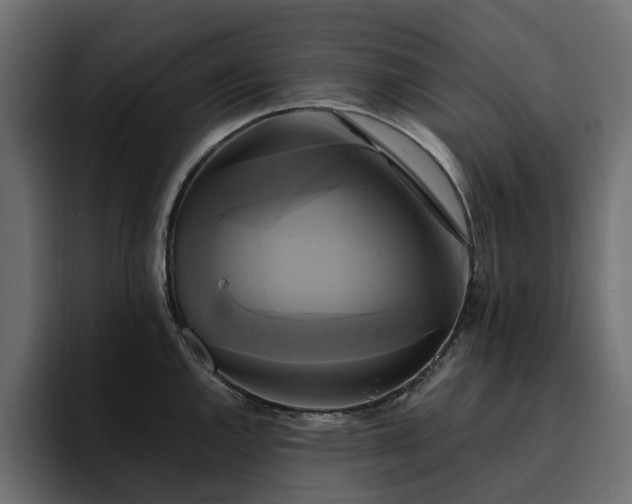 X0000095121144200712141131