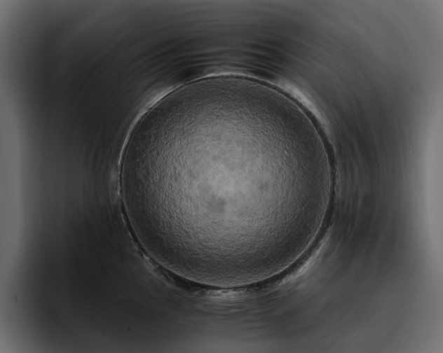 X0000095121145200712141131