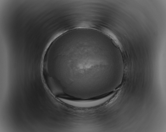 X0000095121146200712141131