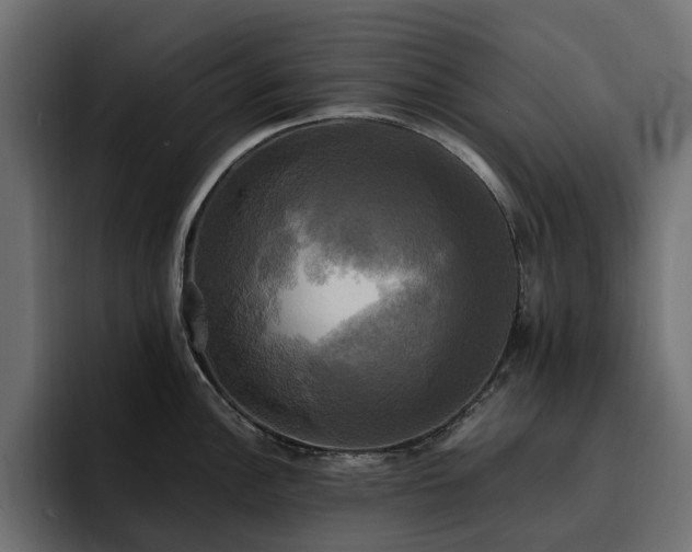 X0000095121148200712141131