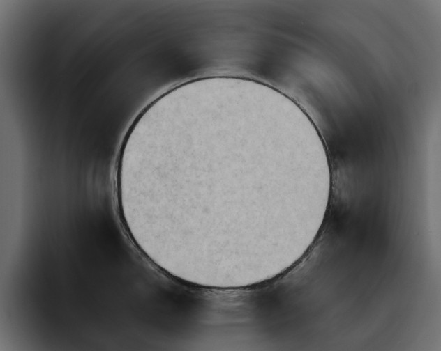 X0000095121150200712141131