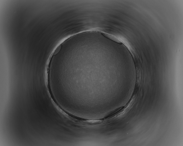 X0000095121151200712141131