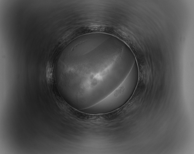 X0000095121154200712141130