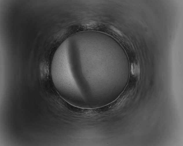 X0000095121155200712141130