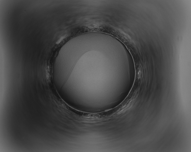 X0000095121156200712141130