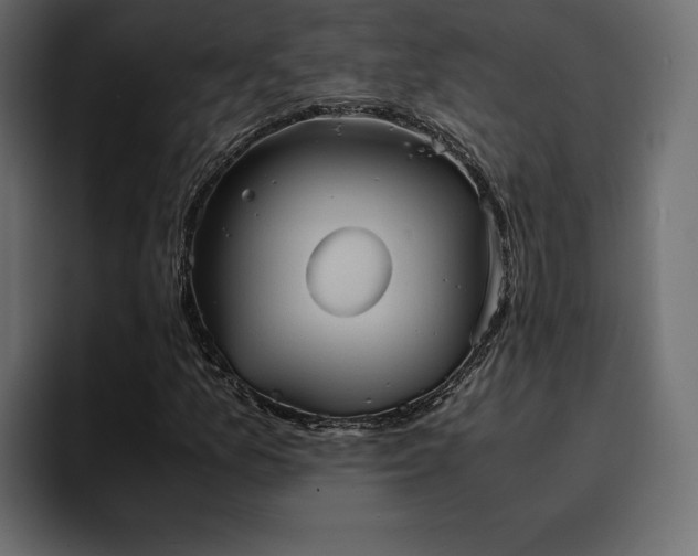 X0000095121157200712141130