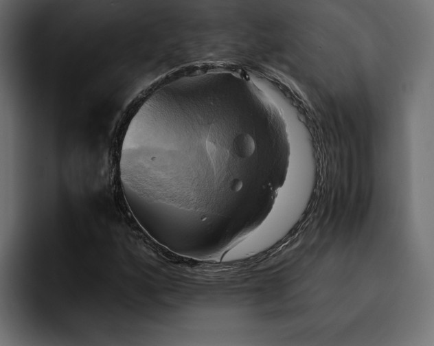 X0000095121160200712141130