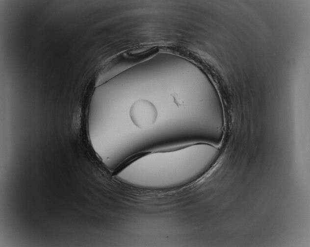 X0000095121161200712141130