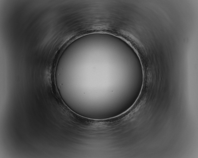 X0000095121162200712141130