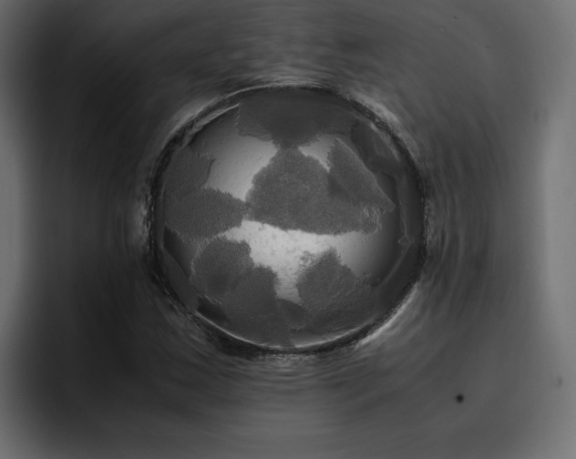 X0000095121163200712141130