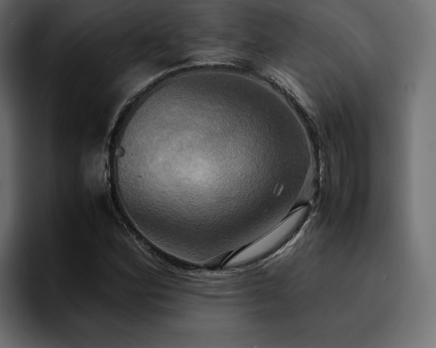 X0000095121164200712141130