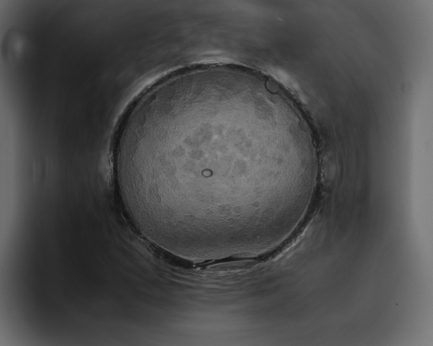 X0000095121167200712141130