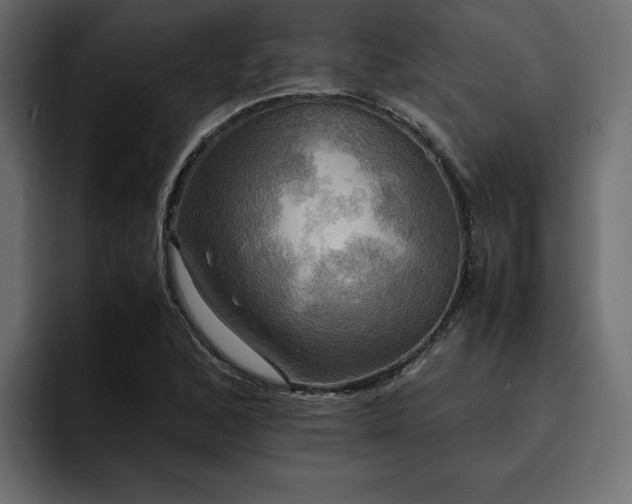 X0000095121168200712141130