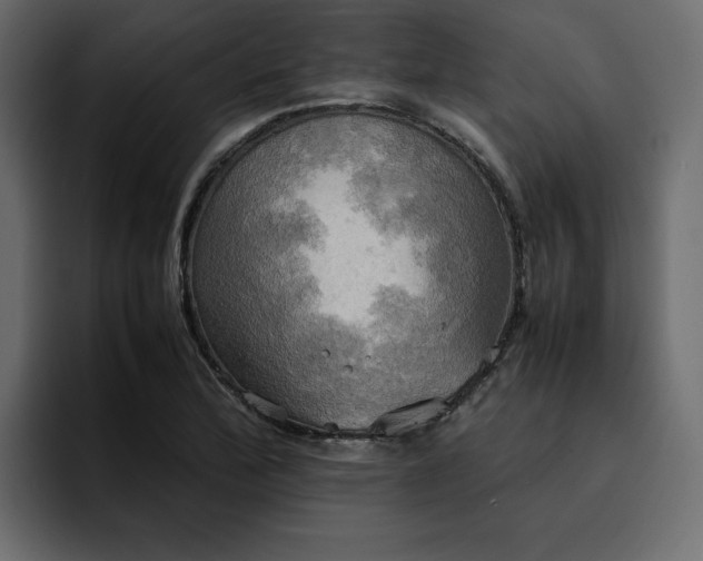 X0000095121172200712141130