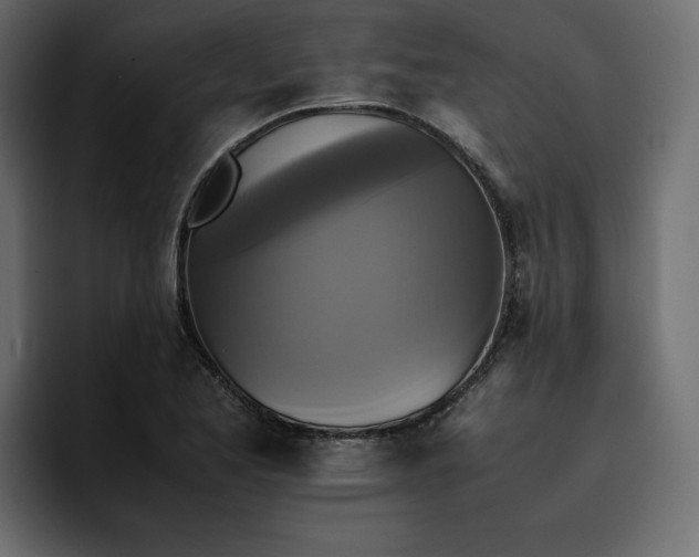 X0000095121173200712141130