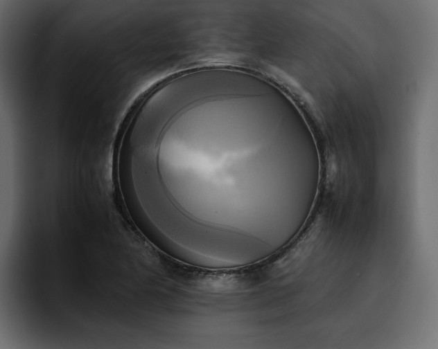 X0000095121174200712141130