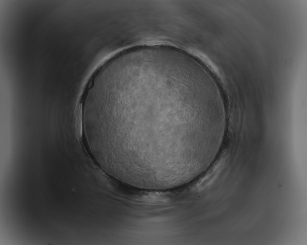 X0000095121175200712141130