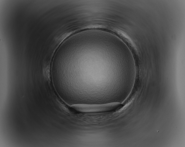 X0000095121177200712141130