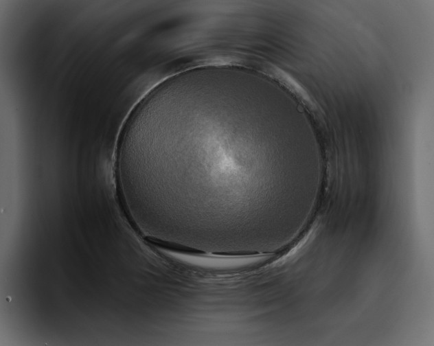 X0000095121178200712141130