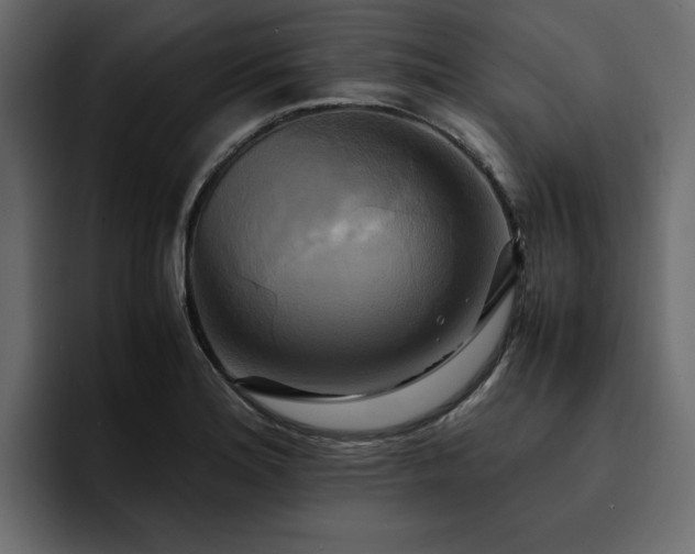 X0000095121180200712141130