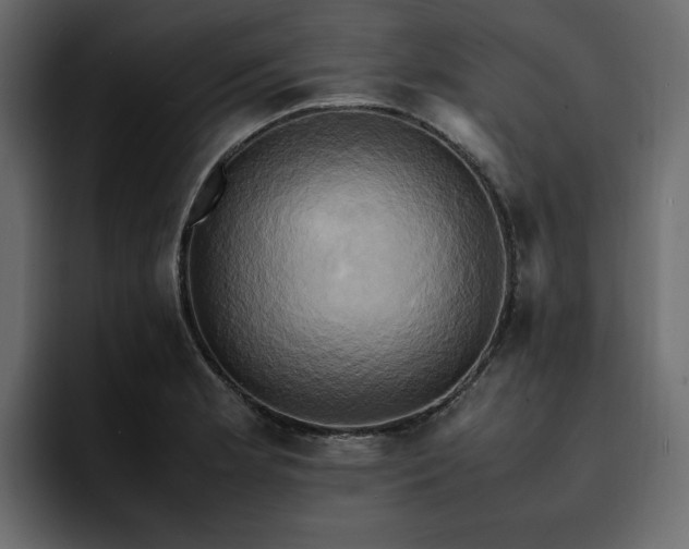 X0000095121181200712141130