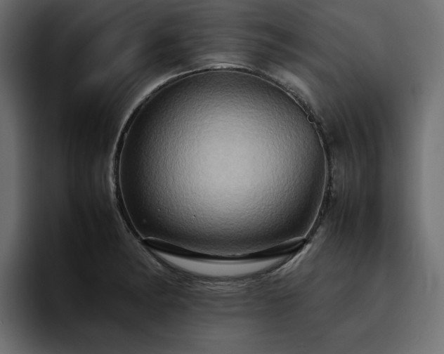 X0000095121182200712141130