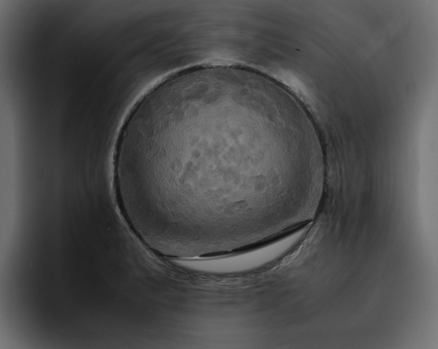 X0000095121183200712141130