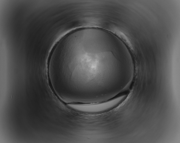 X0000095121184200712141130