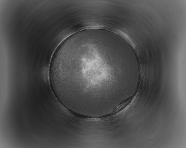 X0000095121186200712141130