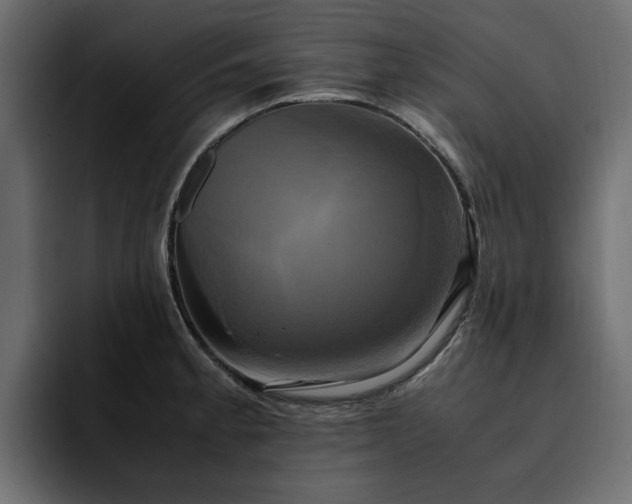 X0000095121189200712141130