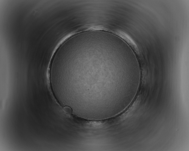 X0000095121190200712141130