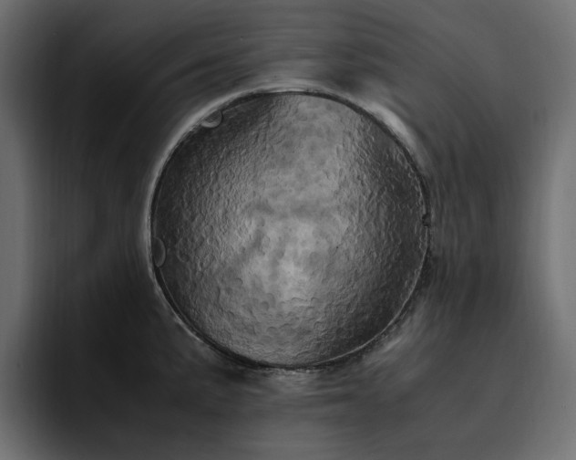 X0000095121191200712141130