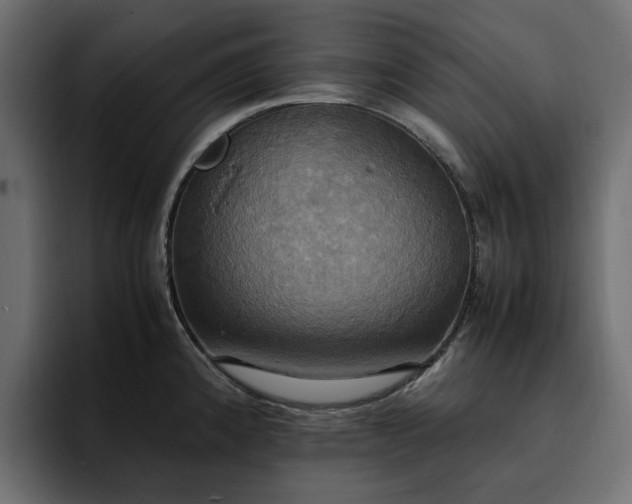 X0000095121192200712141130