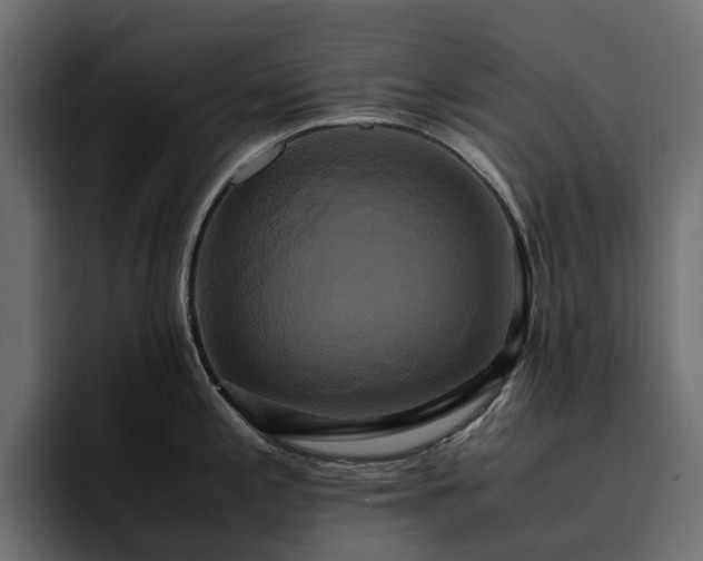 X0000095121197200712141129