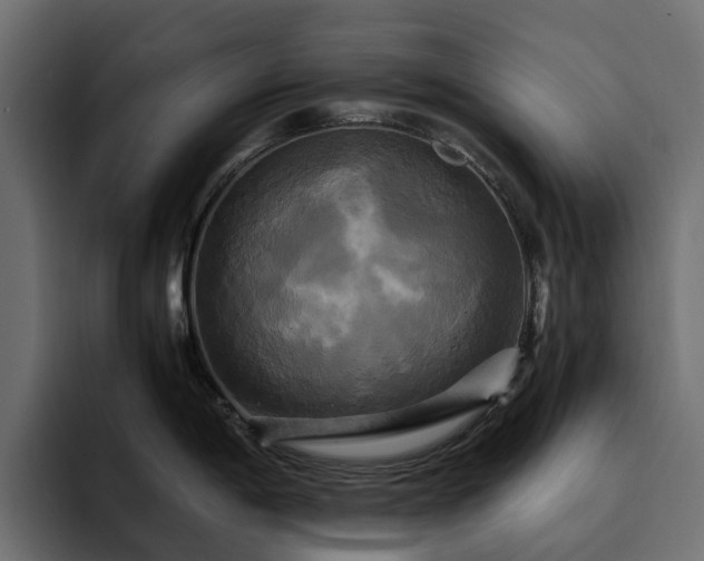 X0000095121198200712141129